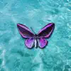 Doubz Neptune - Petit Papillon